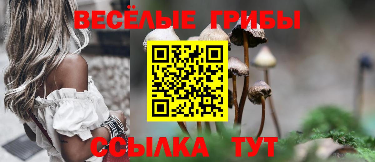 Псилоцибиновые грибы MAGIC MUSHROOMS Артёмовский