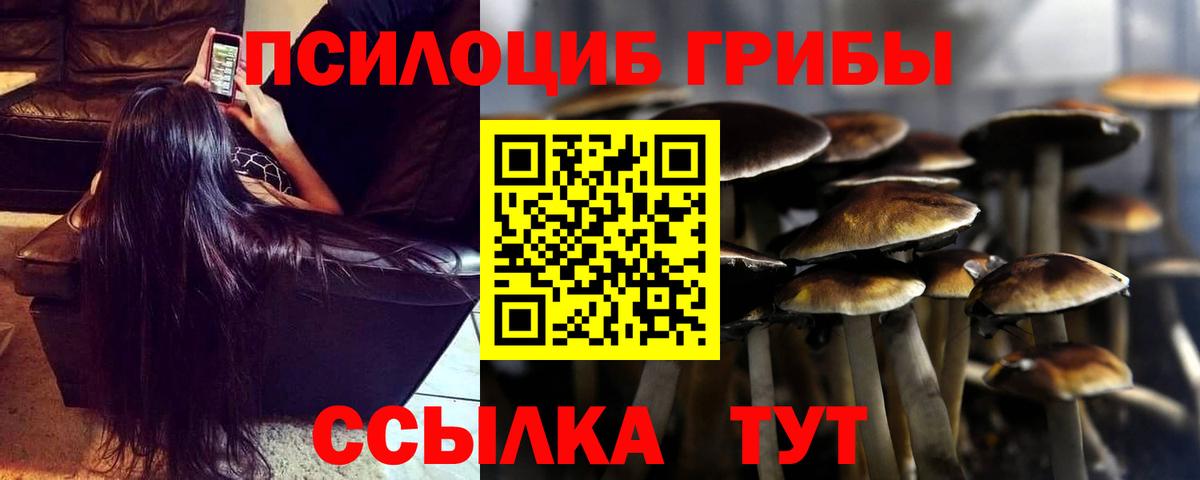 Галлюциногенные грибы Psilocybe  Галлюциногенные грибы Psilocybe  Вход с VPN  Артёмовский 